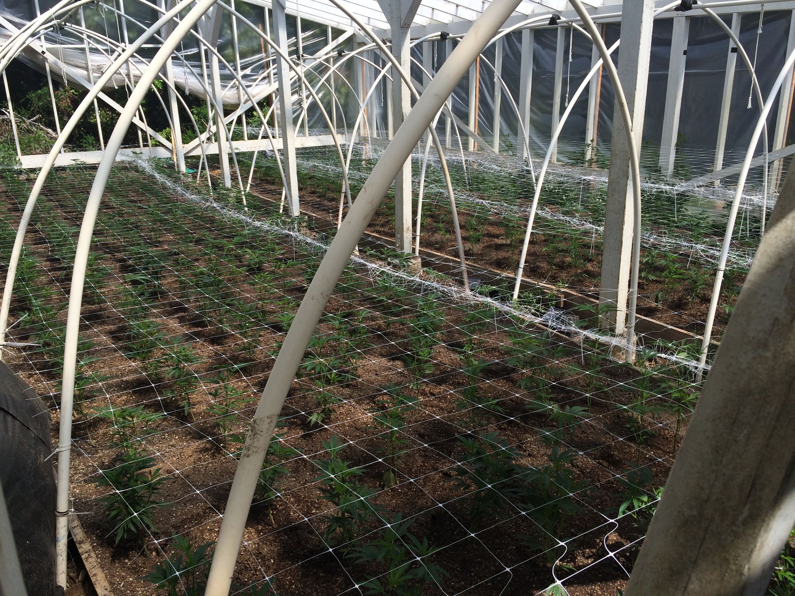 Hash Lab - 201602608